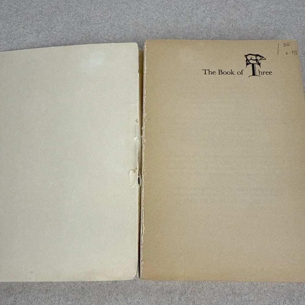N/A prydain chronicles